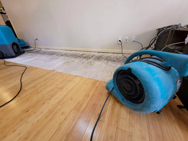 Professional Basement Flood Cleanup technician working in Sulphur Springs, TX